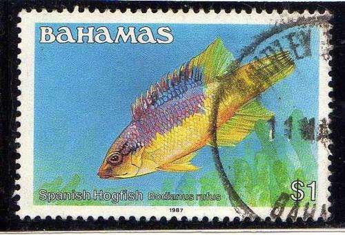 BAHAMAS 1986 FISH DEFIN PART SET OF 4 FINE USED. CAT 15 POUNDS.