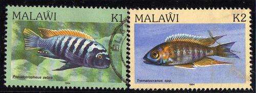 MALAWI 1984 "FISH" K1 + K2 VFU. SG 700-701. CAT 12 POUNDS.