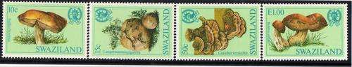 SWAZILAND 1984 "FUNGI" SET OF 4 UMM. SG 462-5. CAT 5,50 POUNDS.