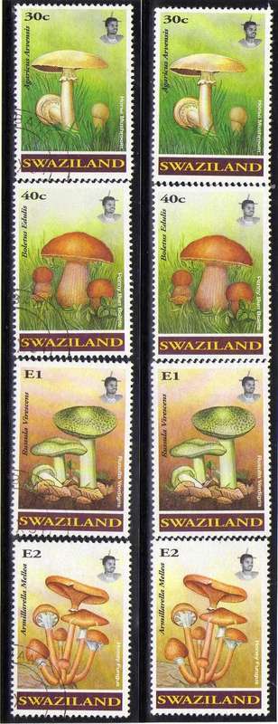 SWAZILAND 1994 "FUNGI" SET OF 4 UMM + SET OF 4 VFU. SG 638-41. CAT 13,50 POUNDS.
