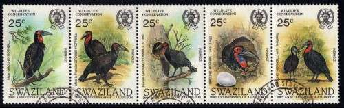 SWAZILAND 1985 "BIRTH CENT AUDUBON - GROUND HORNBILLS" STRIP OF 5 VFU. SG 481-5. CAT 14 POUNDS.