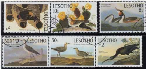 LESOTHO 1985 BIRDS "AUDUBON CENT " SET OF 6 VFU. SG 646-51. CAT 9,25 POUNDS.
