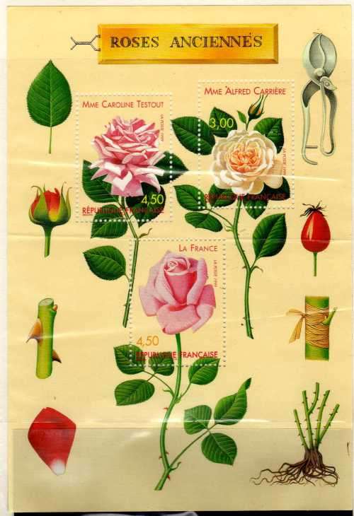 FRANCE 1999 "OLD ROSES" MINI SHEET OF 3 UMM BUT SHEET FOLDED. SG M/S 3590. CAT 11,50 POUNDS.