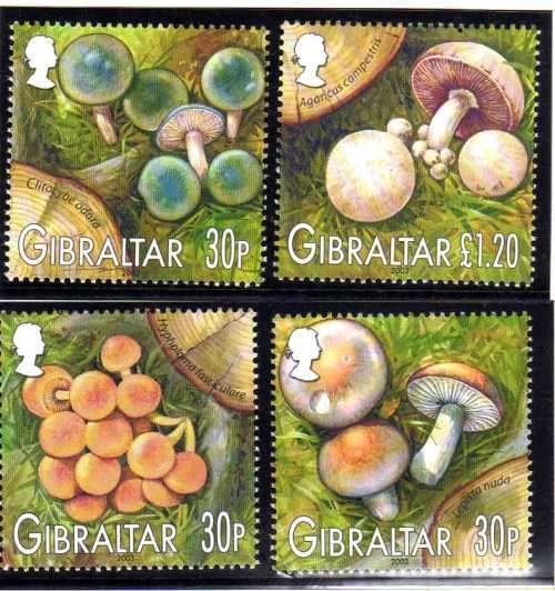 GIBRALTAR 2003 MUSHROOMS OF GIBRALTAR SET OF 4 U.M.M. SG 1057-60. CAT 6,50 POUNDS.