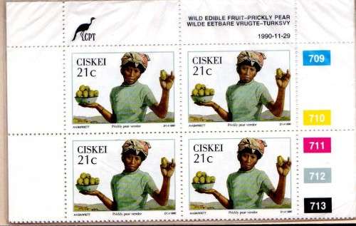 CISKEI 1990 PRICKLY PEAR SET OF 4 IN CONTROL BLOCKS OF 4 UMM. SG 173-76. CAT 6,40 POUNDS.