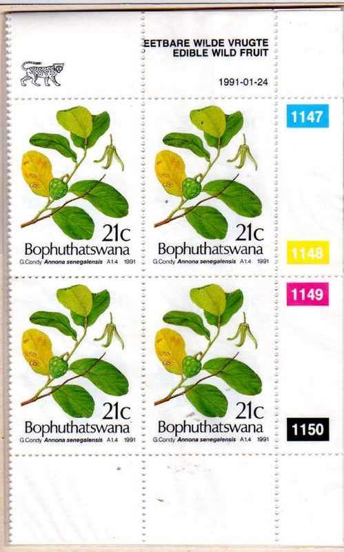 BOPHUTHATSWANA 1991 EDIBLE WILD FRUIT SET OF 4 IN CONTROL BLOCKS OF 4 UMM. SG 252-255. CAT 9,60 GBP.