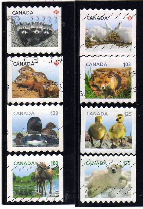 CANADA 2011 "YOUNG WILD LIFE" SET OF 4 + 4 LATER ISSUES VFU. SG 2704-2707. CAT 18 POUNDS.