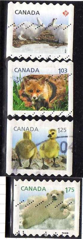 CANADA 2011 "YOUNG WILD LIFE" ORIGINAL SET OF 4 VFU. SG 2704-2707. CAT 9 POUNDS.