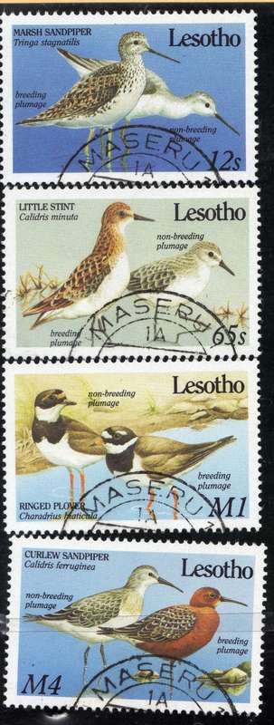 LESOTHO 1989 MIGRANT BIRDS SET OF 4 VFU. SG 910-913. CAT 7,25 POUNDS.