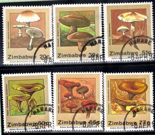 ZIMBABWE 1992 "EDIBLE MUSHROOMS" SET OF 6 VFU. SG 826-831. CAT 3,75 POUNDS.