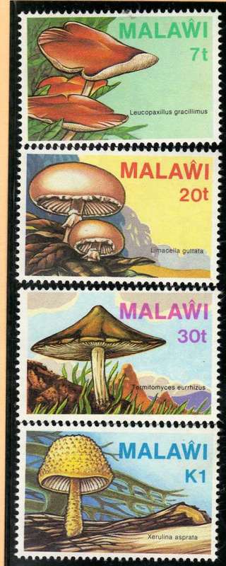 MALAWI 1985 "FUNGI" SET OF 4 UNMOUNTED MINT. SG 720-23. CAT 6,75 POUNDS.