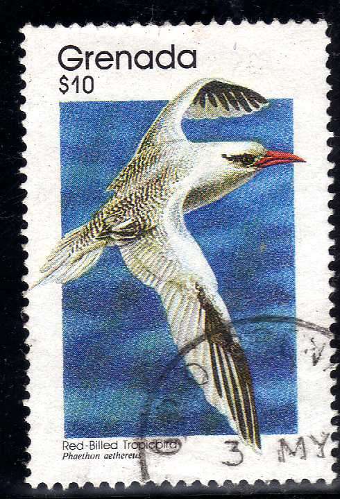GRENADA 1989 "BIRDS - RED BILLED TROPIC BIRD" $10 VFU. SG 2000. CAT 8,50 POUNDS.