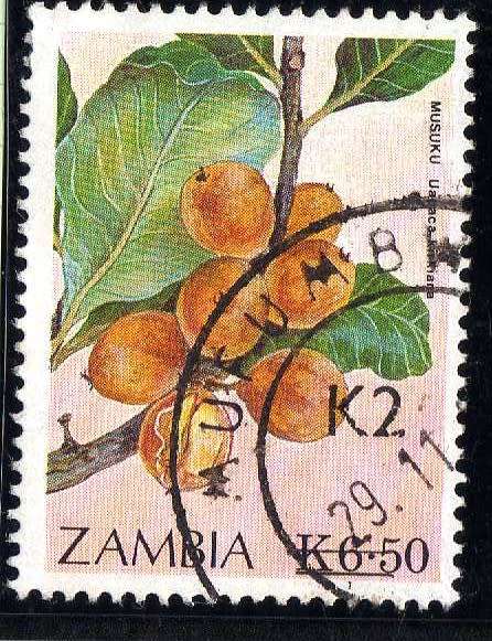 ZAMBIA 1991 SURCHARGE 2K ON 6K50 V.F.U. SG 675. CAT 15 POUNDS.