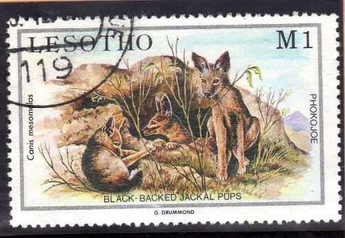 LESOTHO 1984 "BABY ANIMALS" SET OF 5 VFU. SG 611-615. CAT 4 POUNDS.