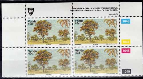 VENDA 1991 INDIGENOUS TREES VARIETY SET OF CONTROL BLOCKS UMM. SACC 230a-233a. CAT R48000 +++