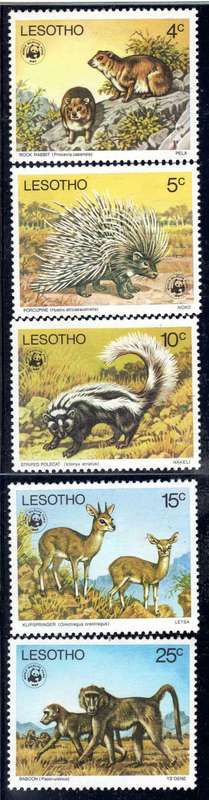 LESOTHO 1977 "ENDANGERED SPECIES" SET OF 5 UNMOUNTED MINT. SG 329-333. CAT 25 POUNDS.