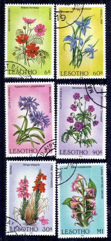 LESOTHO 1985 "WILD FLOWERS" SET OF 6 VFU. SG 661-666. CAT 10 POUNDS.