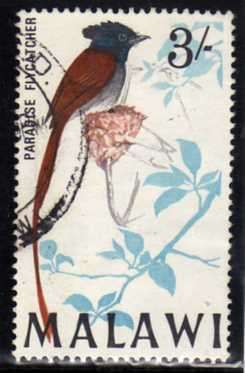 MALAWI 1968 BIRD DEFIN 3/- "PARADISE FLYCATCHER" V.F.U. SG 319. CAT 4,25 POUNDS.
