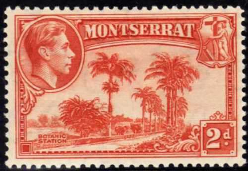 MONTSERRAT 1938 DEFIN 2d ORANGE PERF 13 LMM. SG 104. CAT 25 POUNDS (2018)