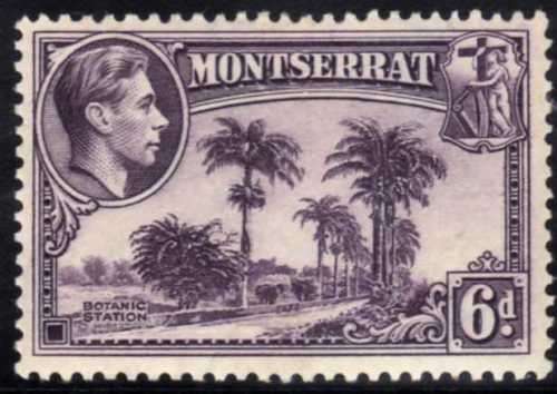 MONTSERRAT 1938 DEFIN 6d VIOLET PERF 13 LMM. SG 107. CAT 25 POUNDS (2018)