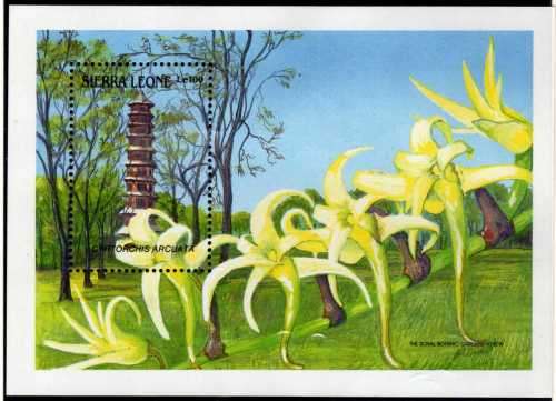 SIERRE LEONE 1989 "ORCHID" MINI SHEET 1 OF 2 UNHINGED BUT PAPER ADHESION. SG 1311. CAT 7 POUNDS.