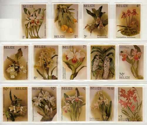 BELIZE 1987 ORCHIDS SET OF 14 + 2 M/S MINT BUT SOME PAPER ADHESION. SG 1009-1023. CAT 30 POUNDS.