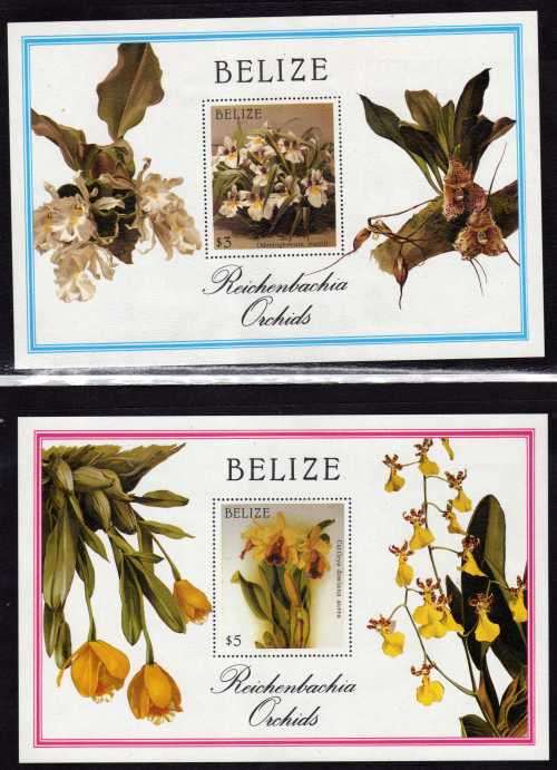 BELIZE 1987 ORCHIDS SET OF 14 + 2 M/S MINT BUT SOME PAPER ADHESION. SG 1009-1023. CAT 30 POUNDS.