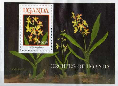 UGANDA 1989 ORCHIDS MINI SHEET UNMOUNTED MINT. SG 786. CAT 6 POUNDS.