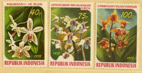 INDONESIA 1978 ORCHIDS SET OF 3 LMM. SG 1519-21. CAT 6 POUNDS.
