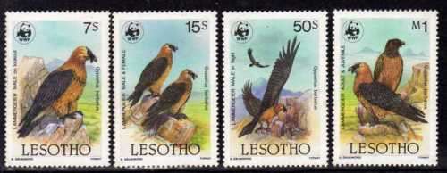 LESOTHO 1986 "FLORA & FAUNA OF LESOTHO" THE 4 BIRDS (LAMMERGEIERS) IN SET UMM. CAT 11,75 POUNDS.