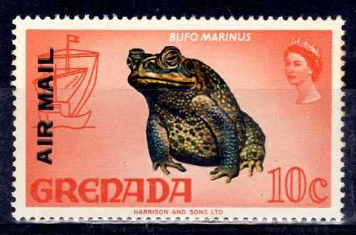 GRENADA 1972 DEFIN 10c GIANT TOAD WITH "AIR MAIL" DOUBLE OVPT VAR UMM. SG 503a.
