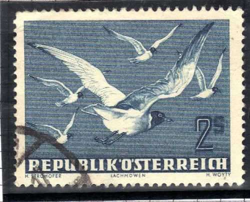 AUSTRIA 1950 AIR - BIRDS (BLACK-HEADED GULLS) 2S VERY FINE USED. SG 1217. CAT £11 (2012)