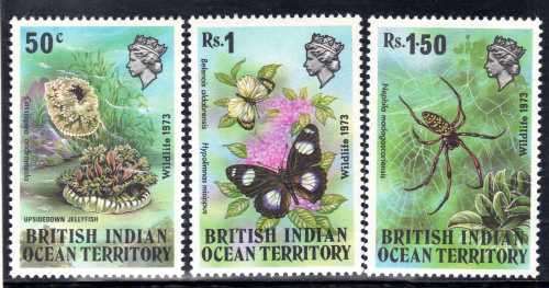 BRITISH INDIAN OCEAN  TERRITORY 1973 WILDLIFE SET OF 3 LMM. SG 53-55. CAT 11,75 POUNDS.