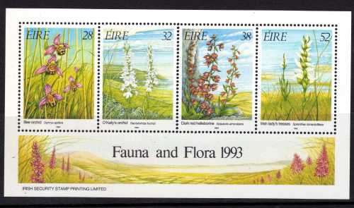 IRELAND 1993 "IRISH ORCHIDS" MINI SHEET UMM. SG 875. CAT 5 POUNDS.