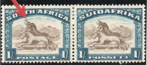 South Africa 1930-45 1/- brown & blue inv wmk mm pair with twisted horn flaw. SG 48cw Cat £225(2018)