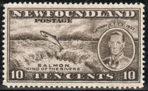 Newfoundland 1937 Coronation 10c mounted mint. SG 261. Cat £7 (2018)