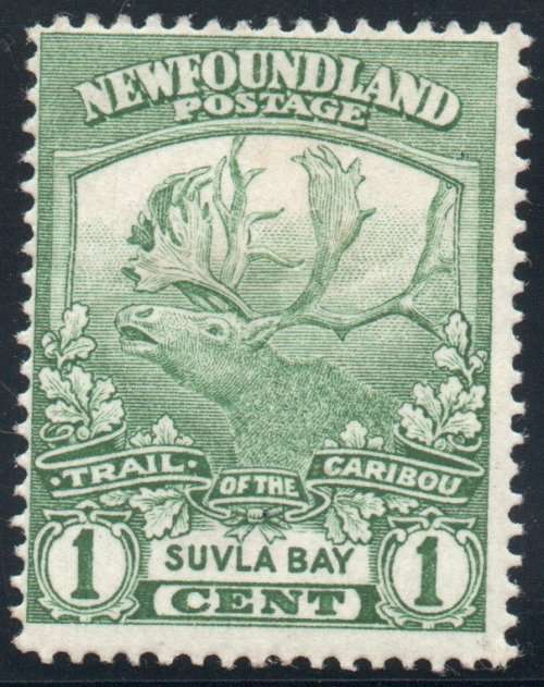 Canada Newfoundland 1919 Caribou 1c green mounted mint. SG 130. Cat £3,75 (2018)
