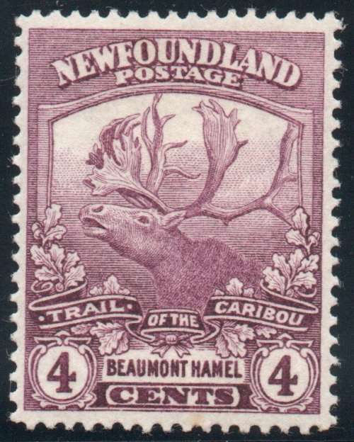 Canada Newfoundland 1919 Caribou 4c mauve lightly mounted mint. SG 133. Cat £13 (2018)