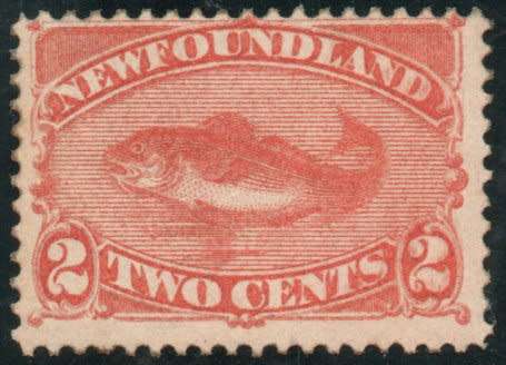 NEWFOUNDLAND 1887 2c ORANGE VERMILION U.M.M. SG 51. CAT £27 (2018).