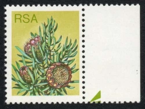 South Africa 1977 Protea Definitive 6c marginal single with value omitted umm. SACC 423b. Cat R4500
