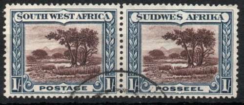 South West Africa 1931 Pictorials 1/- perf up very fine used. SG 80. Cat £18 (2018)