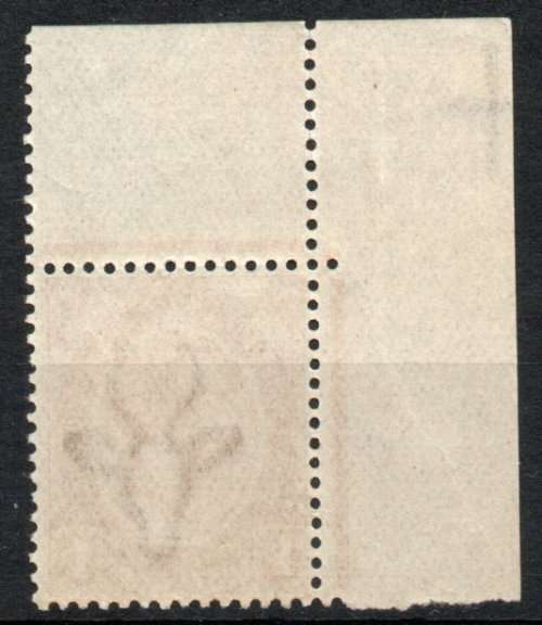 South Africa 1913 KGV 1/- corner single with Jubilee lines unmtd mint. SACC 11. Cat R170 (2019-20)