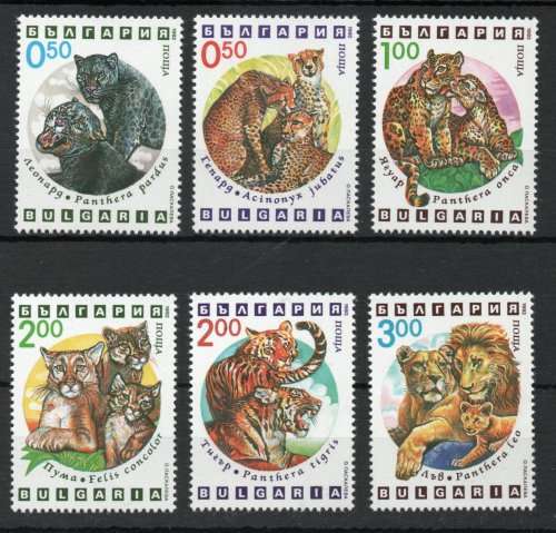 Bulgaria 1992 Big Cats set of 6 unmounted mint. SG 3880-3885. Cat £5,90 (2013)