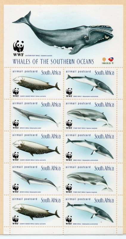 South Africa 1998 Whales of Southern Oceans sheet of 10 umm. SACC 1172-1175. Cat R332 (2023-25)
