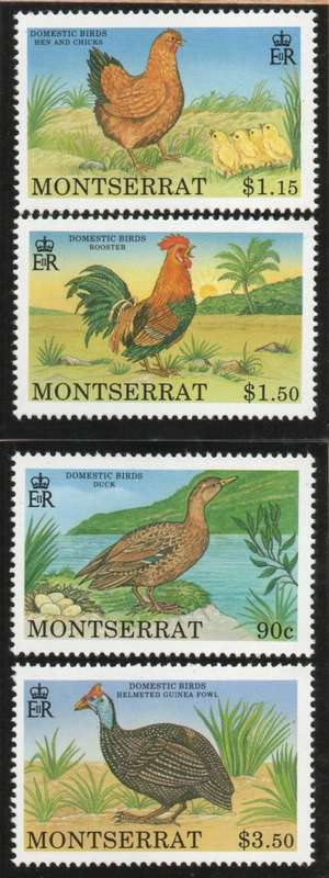 Montserrat 1991 Domestic Birds set of 4 unmounted mint. SG 847-850. Cat £4,90 (2012)