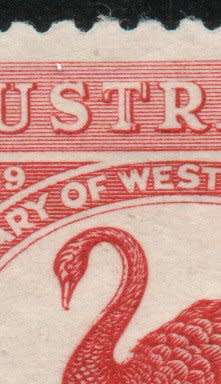 Australia 1929 `Western Australia Centenary` 1½d with variety mounted mint. SG 116a. Cat £60 (2022)