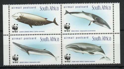 South Africa 1998 Whales of Southern Oceans set of 4 umm. SACC 1172-1175. Cat R150 (2023-25)