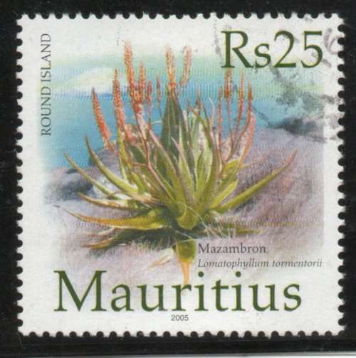 Mauritius 2005 Round Island Rs25 very fine used. SG 1127. Cat £4,75 (2013)