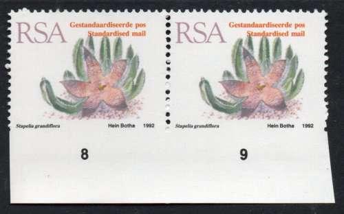 South Africa 1993 Standardised Mail (45c) Succulent umm pair with imperf bottom margin. SACC 796b.