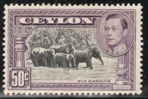 Ceylon 1938 KGVI Definitive 50c perf 13½ lightly mounted mint. (brownish gum) SG 394b Cat £28 (2022)